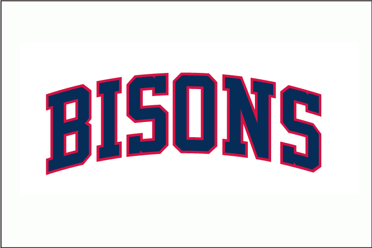 Buffalo Bisons 1987 Jersey Logo v2 iron on transfers for clothing